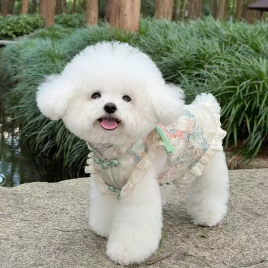 Pet clothing wholesale/DIY clothing customization
